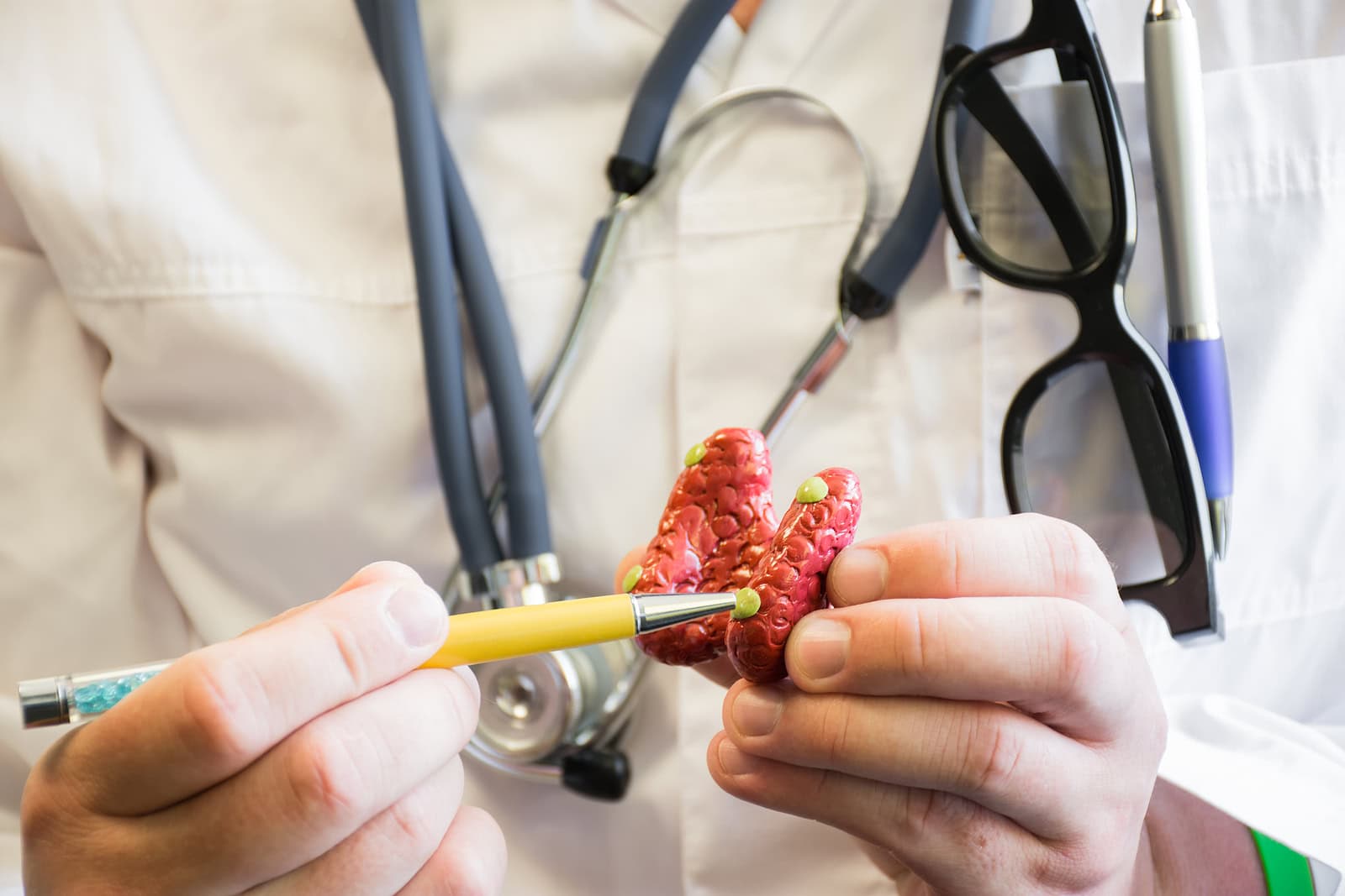 Doctor for Parathyroid Disease